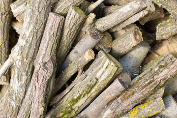 pile of chopped firewood