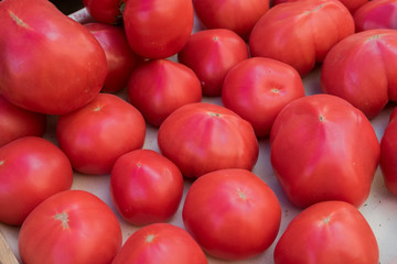 Ox-heart or Bull's Heart  tomatoes for sale at city market. Baku