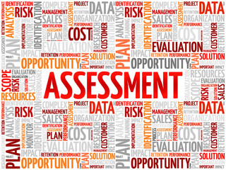 Assessment word cloud, business concept