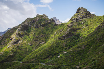 View of Masca village with palms and mountains