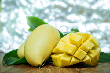 Fresh mango put on the wood table