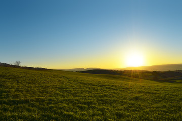 Fototapeta na wymiar Sole che sta tramontando dietro una collina verde