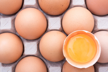 chicken egg yolk on eggs