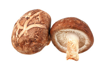Two Shiitake mushrooms isolated on white