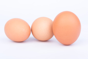 eggs on the white background