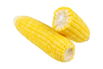 Steamed yellow corn isolated on white