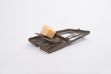 mousetrap baited with cheese isolated on white background.