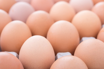 a group of eggs