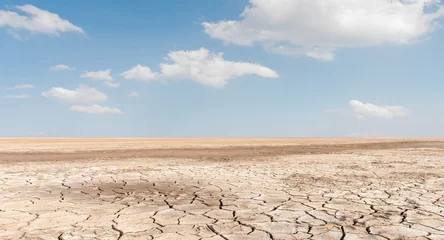 Fototapeten Soil drought cracked landscape on blue sky background © yotrakbutda