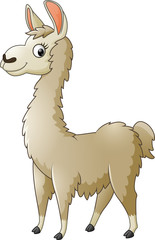 Llama cartoon