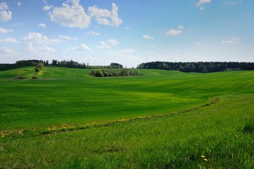Fototapeta na wymiar agricultural hilly green field with the blue sky