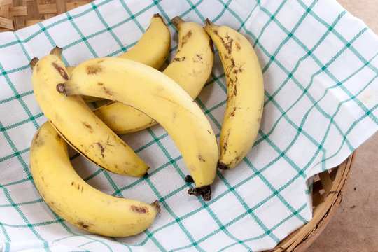 Cavendish Banana