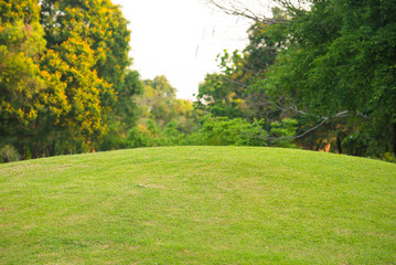 one of the part in park, green of grass and colourful background