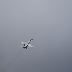 Jet fighter aircraft