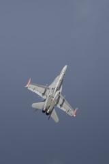 Jet fighter aircraft