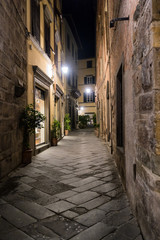 Fototapeta na wymiar Small streets at night in Lucca