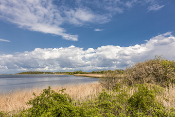 Nature Conservation Area Geltinger Birk, Region Schlei, Northern Germany
