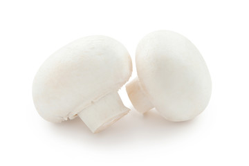 Champignon mushrooms isolated on white background