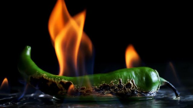 hot pepper in fire arms   /   hot pepper in flames on a black background