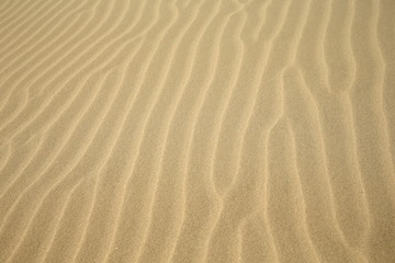Fototapeta na wymiar sand/ beautiful pattern in the sand made by the wind