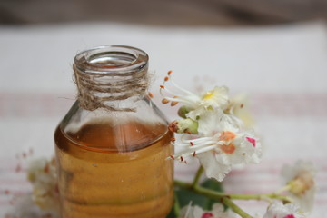 Glass bottle with liqueur and flower chestnut