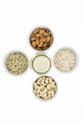 Bottle of homemade plant based milk and bowls with ingredients, on white background