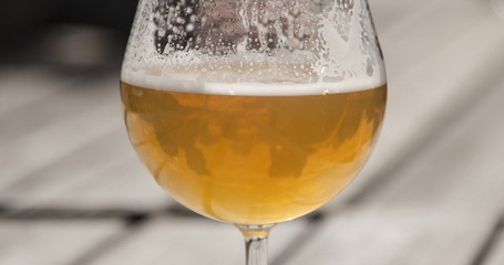 Glass of draught beer.