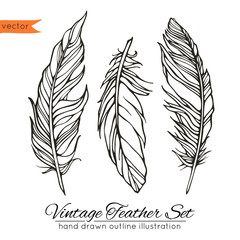 Vintage feather set isolated on white