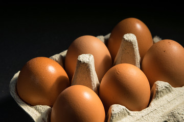 Six brown hen eggs in  eggs-box, close up.