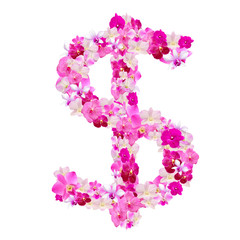 Dollar sign  from orchid flowers isolated on white with working