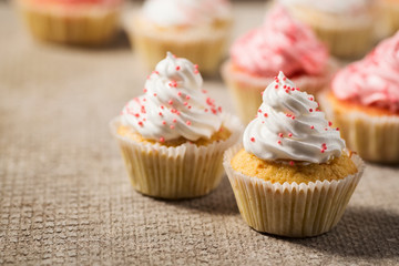 Vanilla cupcakes with white and pink cream, concrete background, selective focus, close up