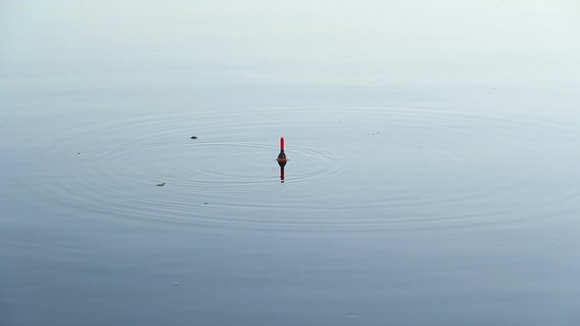 Float on the water surface of the water.Nibble fish. Evening fishing in the river .