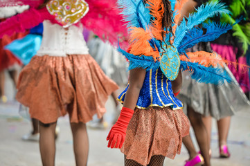 Back view of carnaval parade participants with colorful feathers. 