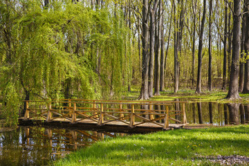 wooden bridge over a small canal in a spring landscape.