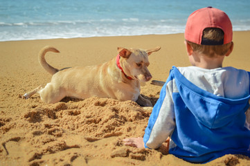 Picture back view of boy with dog on the beach background outdoors 
