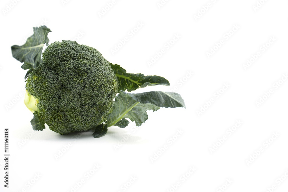 Canvas Prints Fresh Broccoli isolated.on white background.Vegetable.left