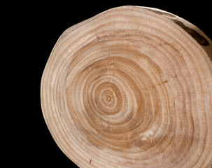 Birch saw cut is vertical on a black background