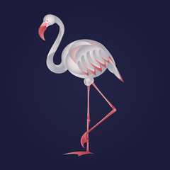 Vector image of graceful flamingos. Flamingo icon. 