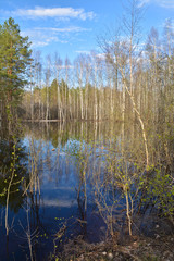 Spring in the national Park 