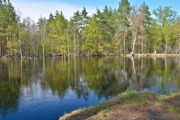 Spring in the national Park "Meshchersky".