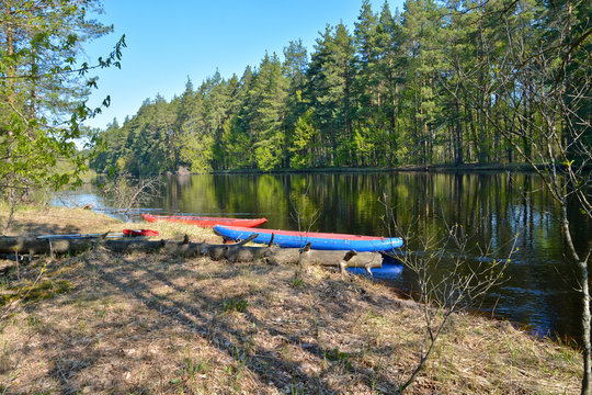 Boats on the forest river.