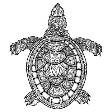 Turtle isolated.Ornamental patterned reptile animal turtle. Doodle wildlife decor