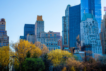 Springtime in Central Park