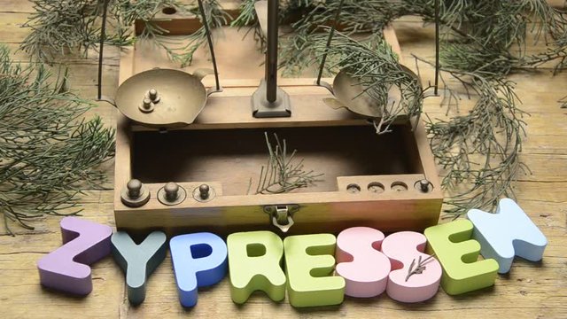 Cupressus Zypressen Cipres