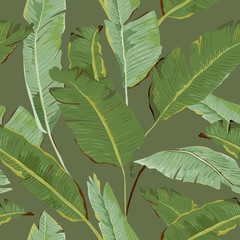 Seamless Pattern. Tropical Palm Leaves Background. Banana Leaves