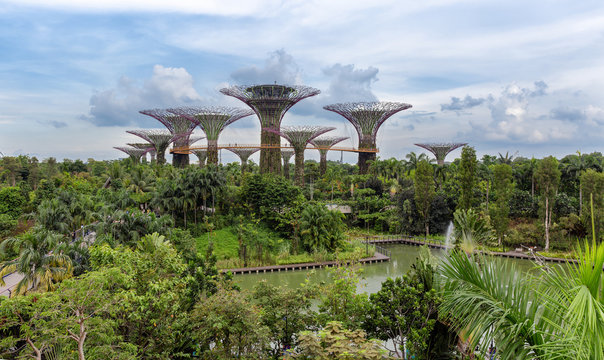 Supetrees in den Gardens by the Bay, Singapur