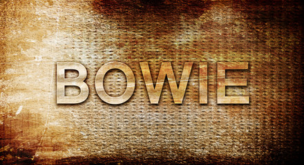 bowie, 3D rendering, text on a metal background - obrazy, fototapety, plakaty