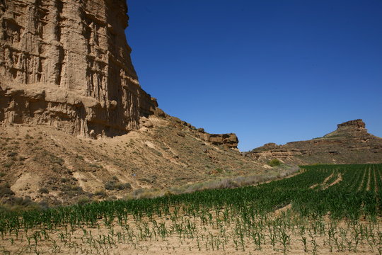 Los Monegros - Navarra