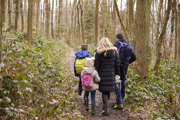 Family walking together through a wood, back view