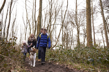 Family walking with pet dog in a wood, low angle view